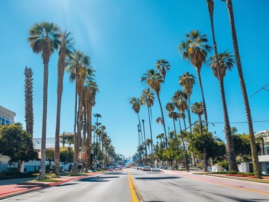 Sunny palm-lined Los Angeles boulevard in the area served by Mid-Wilshire Dental Care